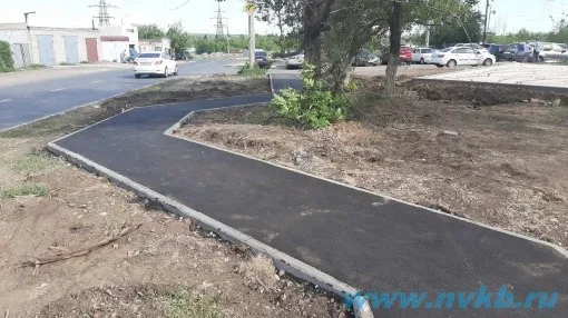 В Новокуйбышевске проложили изогнутую дорогу, чтобы спасти дерево