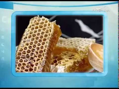 Календарь губернии 22.12.2016