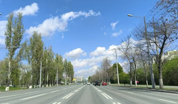 В ноябре вдоль улицы Ташкентской в Самаре высадят кусты дерена и снежноягодника