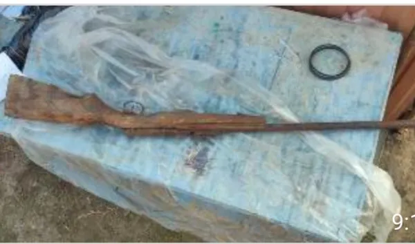 Тело не нашли: в Самарской области задержали убийцу лося