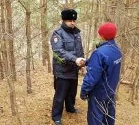 Грибника, заблудившегося в лесу Самарской Луки, нашли полицейские