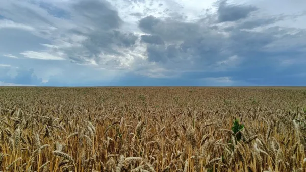 Народные приметы на 2 августа 2025 года: что нельзя делать в этот день