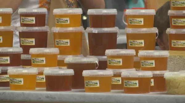 В Самаре состоялась медовая ярмарка   