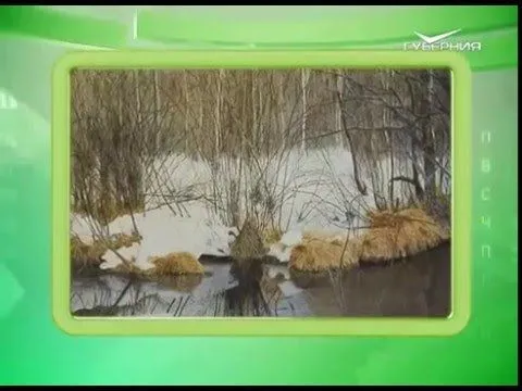 Календарь губернии 14.03.2016