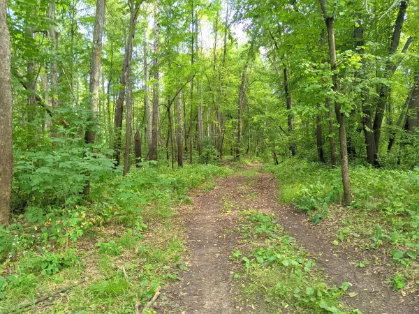 В Самарской области состоялась летняя профильная смена юных экологов