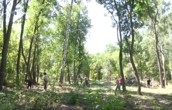 В заповедных местах Самарской области провели экосубботники