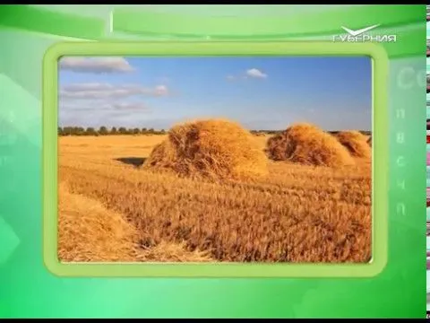 Календарь губернии 14.05.2017