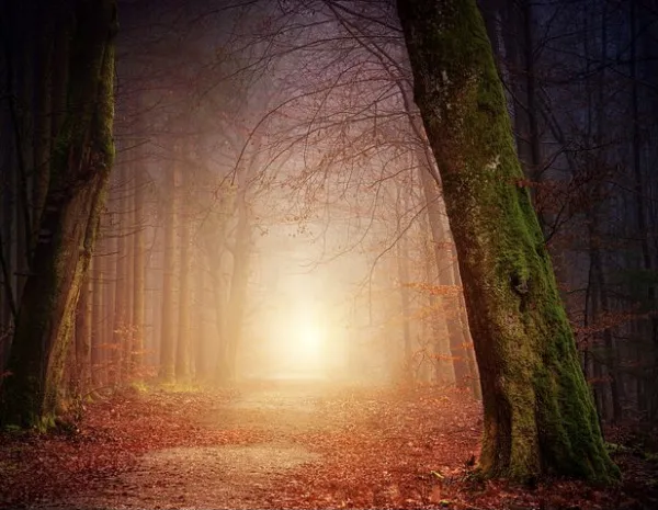 В Самарской области ожидается потепление до +10 °C