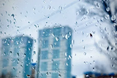 Название статьи