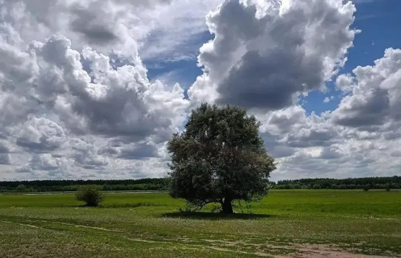 В Самарской области 8 августа сохранится жара