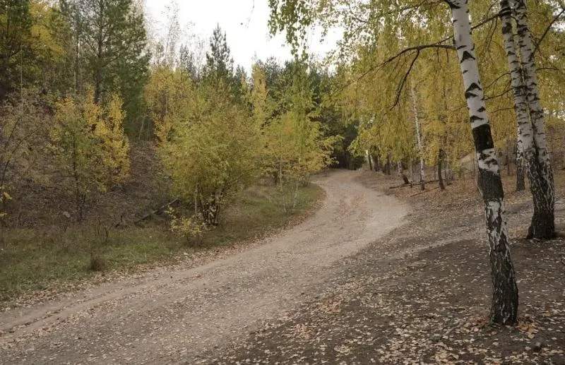 Теплый день и прохладная ночь: погода в Самарской области 1 октября