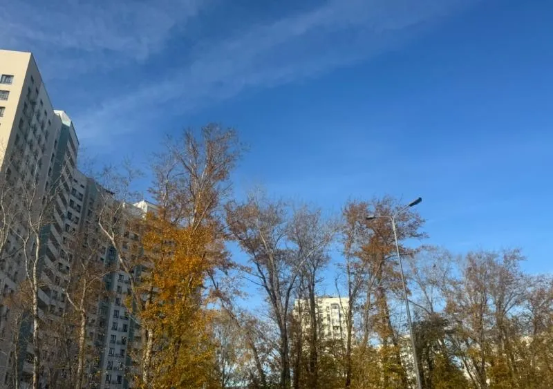 До 19 градусов тепла: погода в Самарской области 18 октября