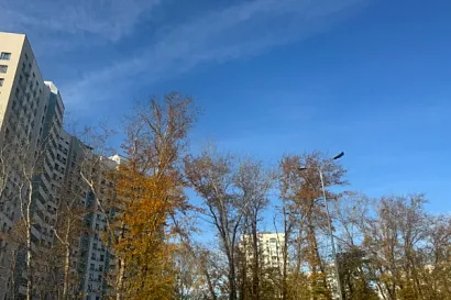 Название статьи