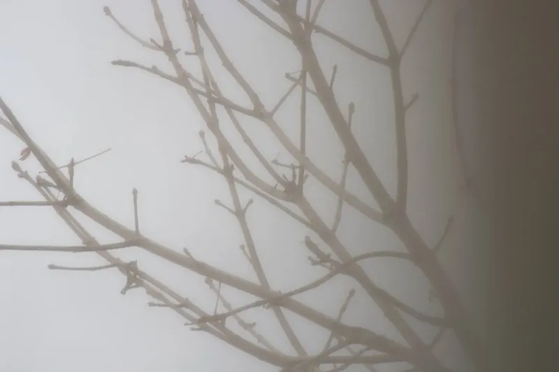 Туман и сырость: погода в Самарской области 13 апреля