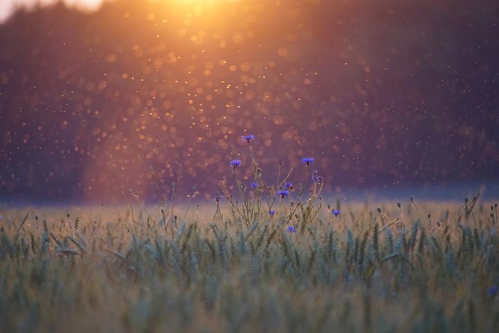 BB635414-ED97-4D80-B605-8E5045D5787D.jpeg BB635414-ED97-4D80-B605-8E5045D5787D.jpeg