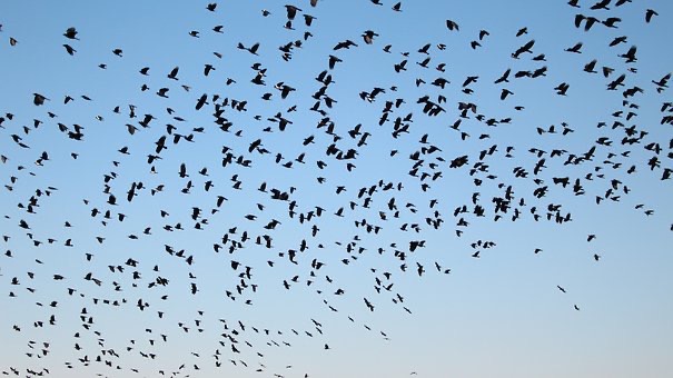 F9EBAB46-74D5-465B-8B64-303DEAE98ACC.jpeg F9EBAB46-74D5-465B-8B64-303DEAE98ACC.jpeg