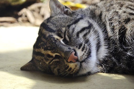 6ECCB5F7-91F2-4DFA-9938-7BA5D2C9CE55.jpeg 6ECCB5F7-91F2-4DFA-9938-7BA5D2C9CE55.jpeg