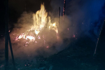 В Самарской области ночью сгорел дачный домик