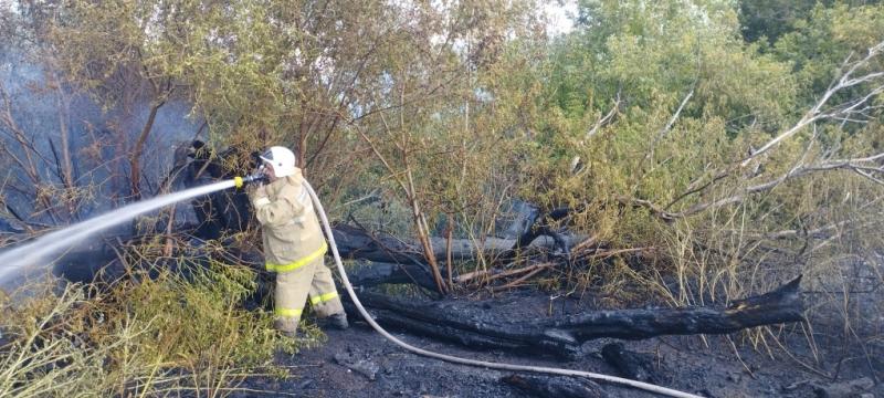 В Самарской области пожарные спасли три жилых дома от возможного загорания