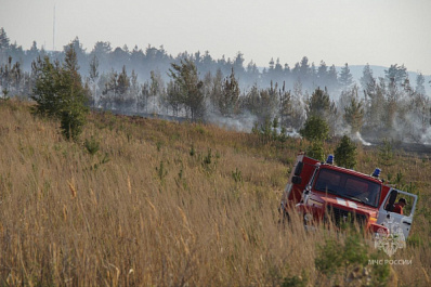 Ликвидированы все лесные пожары на территории Тольятти