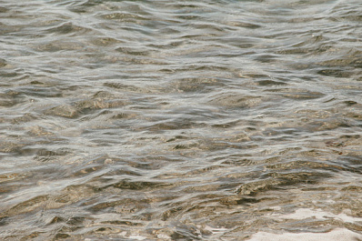 На реке Малый Кинель уровень воды превысил опасную отметку