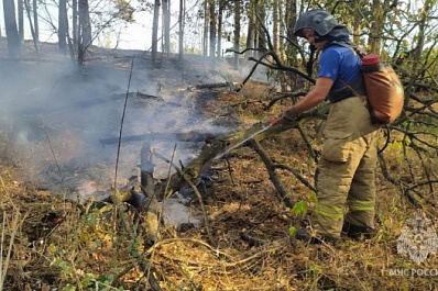 Спасатели ликвидировали открытое горение в Жигулевском заповеднике