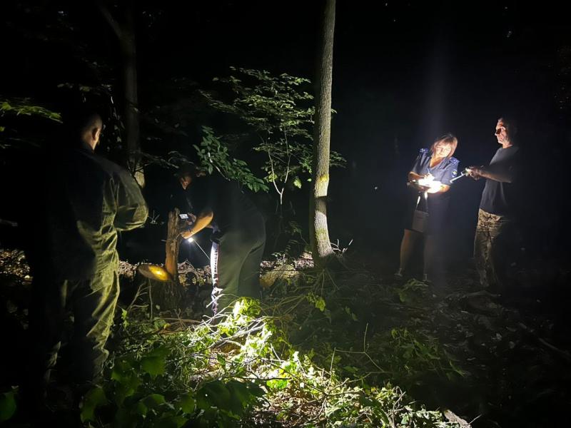 В Самарской области поймали лесоруба-нарушителя