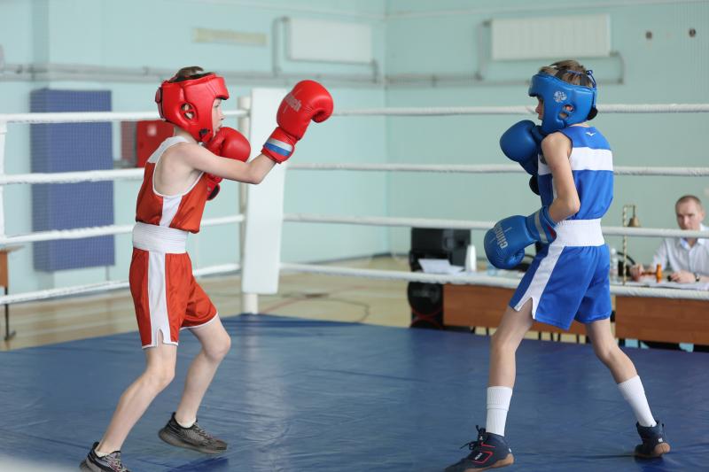 В Самарской области завершился межрегиональный турнир по боксу