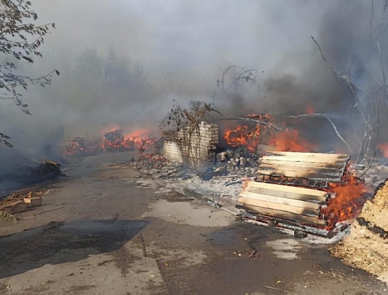 В Самарской области горит деревообрабатывающее предприятие на площади 650 "квадратов"