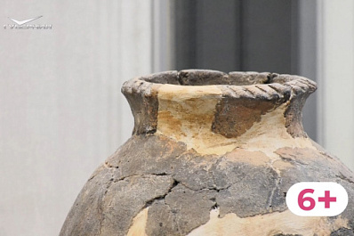 Оружие и предметы интерьера: в Самарском археологическом центре показали редкие экспонаты