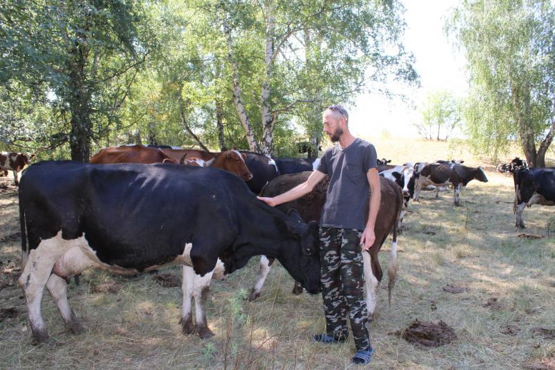 Как меры господдержки помогают развитию фермы молочного направления в Хворостянском районе