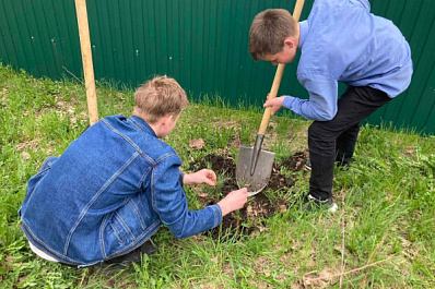 В Похвистневском районе школьники высадили 100 деревьев