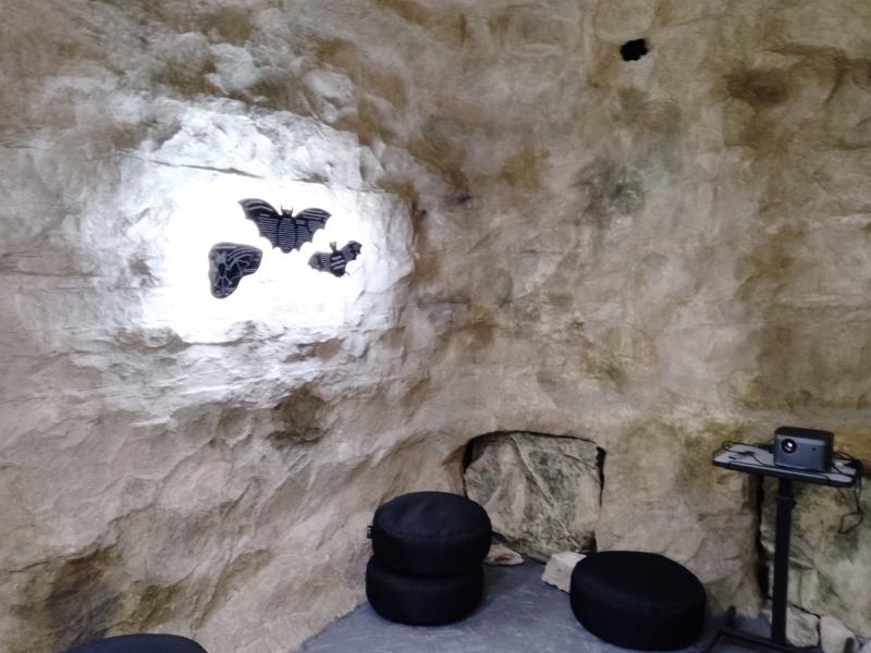 В Жигулёвском заповеднике открыли искусственную пещеру для изучения летучих мышей