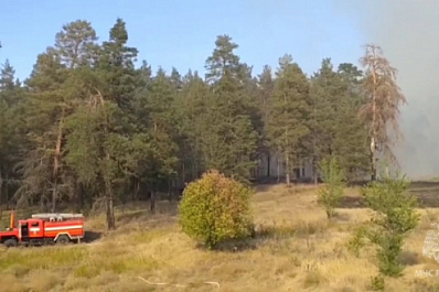 Пожар в Новобуянском лесничестве Самарской области локализован