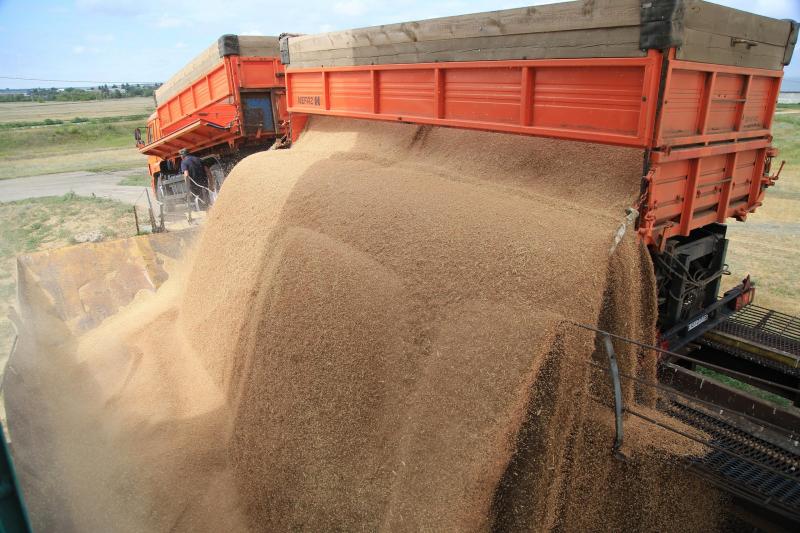 2 миллиона тонн зерна собрано с самарских полей