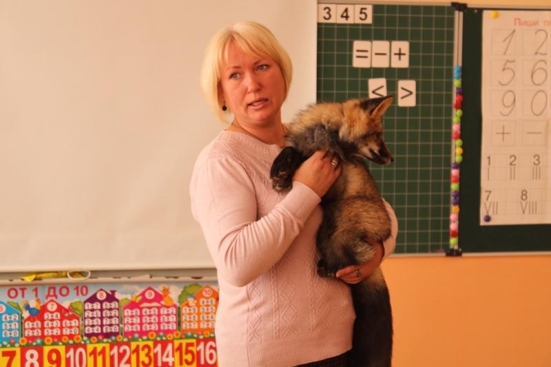 В Самарской области в школах провели внеклассные уроки с лисицами