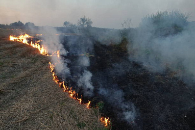 В Самарской области на 1 000 кв. м горит сухая трава