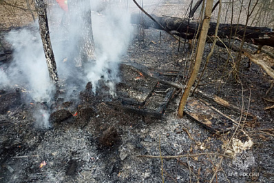 17 апреля в Тольятти произошел первый в 2024 году лесной пожар