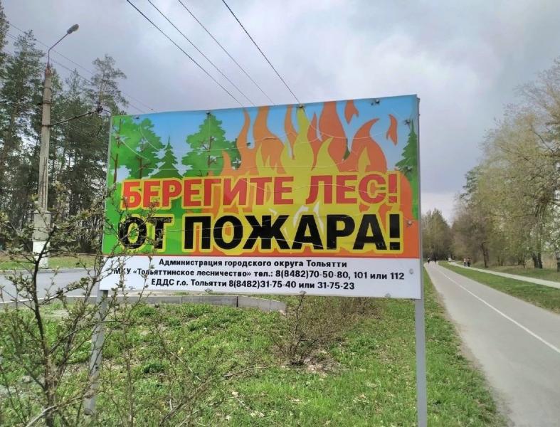 30 пожаров за сезон: в Тольятти продлен запрет на посещение лесов