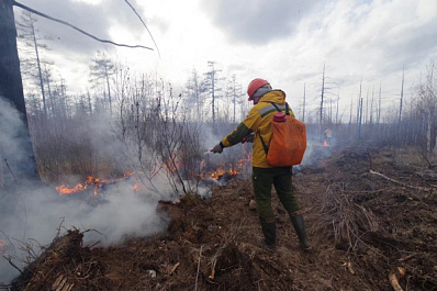 За неделю с 2 по 8 октября в России произошло 116 лесных пожаров