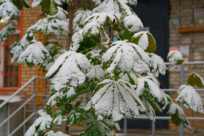В Самарской области 27 октября выпал первый снег