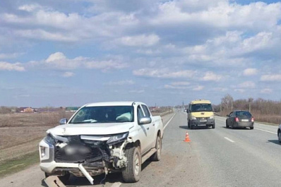 Два пони погибли под колесами "Мицубиси" на трассе в Самарской области