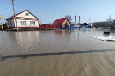 К 8 апреля в Самарской области от последствий паводка избавили 263 дома