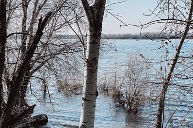 К 12 апреля в Самарской области вода покинула три жилых дома и 22 участка