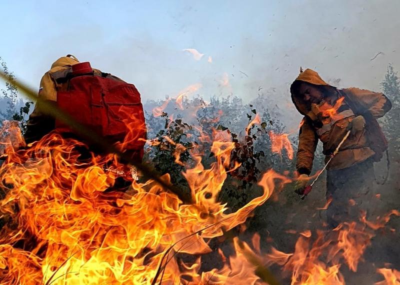 В Поволжье в июле сохранится риск возникновения лесных пожаров