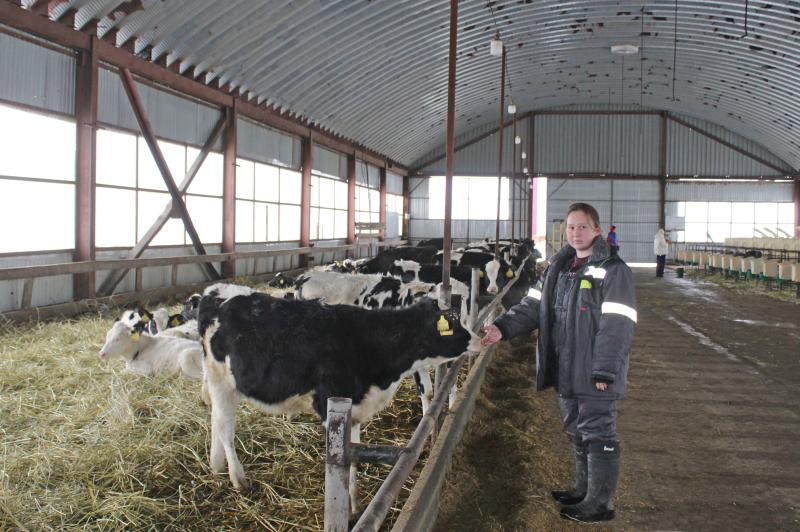Рациональная продуктивность: как найти "совершенную модель" на молочной ферме
