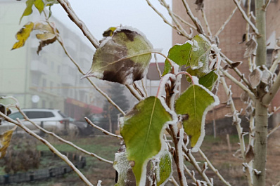 В Самарской области грядут первые майские заморозки