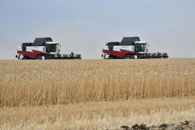 Аграрии региона планируют собрать 2,4 млн тонн зерновых и более 1 млн тонн масличных культур