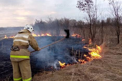 В Самарской области огонь поразил 100 "квадратов" сухой травы