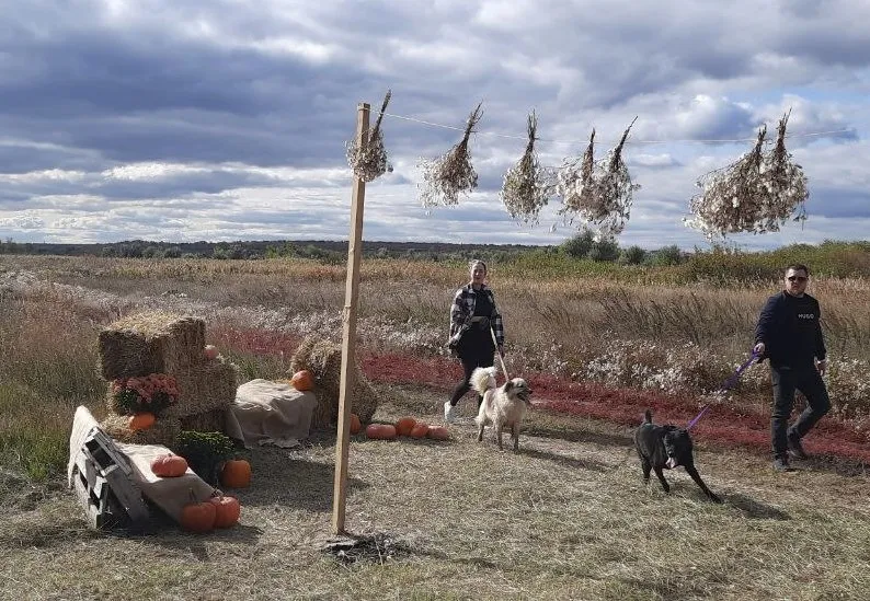 В Самарской области в реабилитационном центре для собак прошел осенний праздник